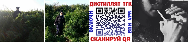 shop состав  Кологрив  Дистиллят ТГК вейп с тгк 